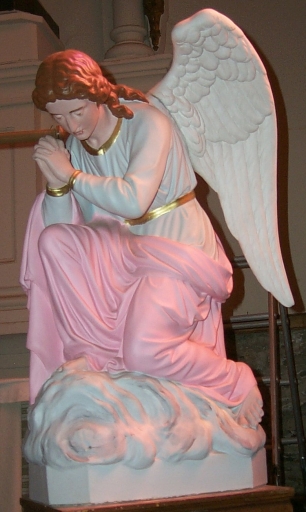 Ange droit : vue générale