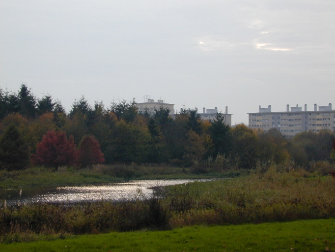 Vue générale