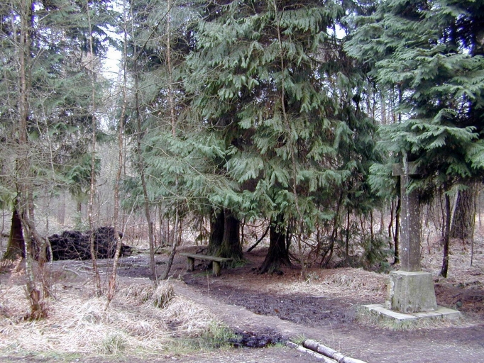 Vue générale sud-ouest ; La fontaine et croix de Saint-Raoul, 3e quart 20e siècle