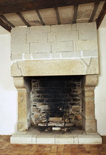 Partie sud, rez-de-chaussée, pièce est, cheminée