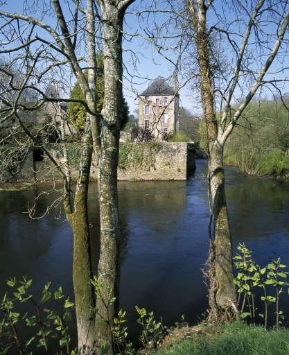 La rivière de l'Ellé et les jardins de la rue Brémond d'Ars ; Vue du site prise depuis l'est