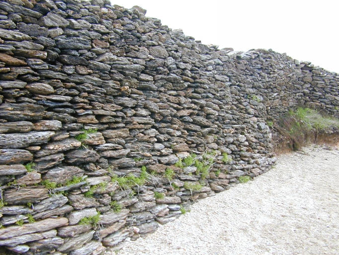 A l'est de Doëlan. Détail d'un ancien mur de clôture de champs