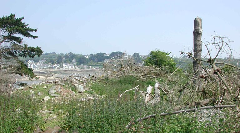 Vue générale de la batterie de Perrohen depuis le nord-ouest