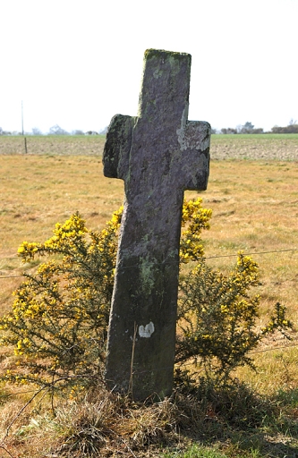 Vue générale nord ; Les Champs Blancs : croix palis