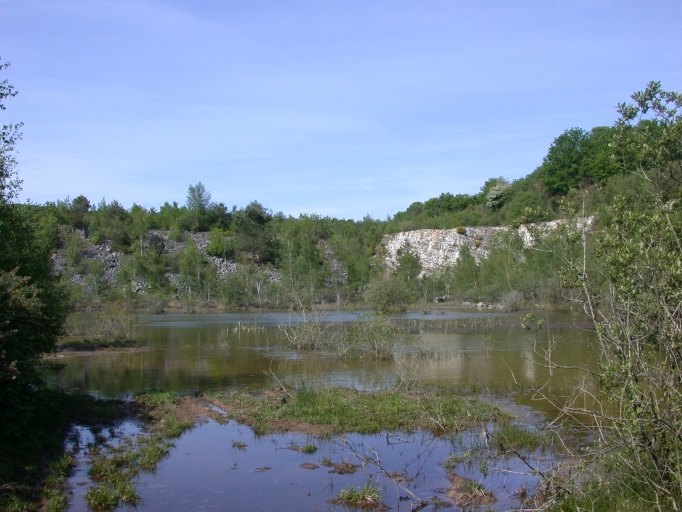 Ancienne carrière de grès près de la Guérinais ; Vue générale sud