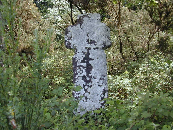 Vue générale ouest ; Trécouët : croix palis