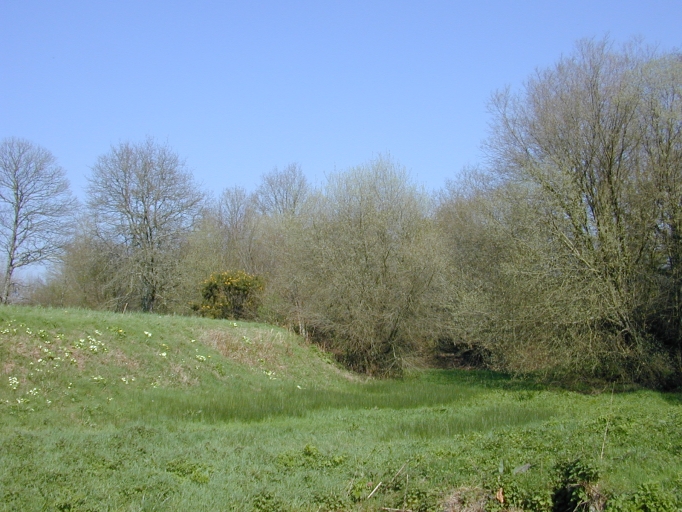 Vue générale sud : le profil de la motte et les vestiges du fossé ; Village du Gué : profil de la Motte Salomon