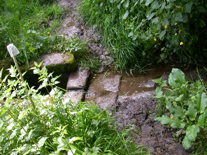 Détail de la fontaine ; Fontaine Saint-Jean, fontaine domestique