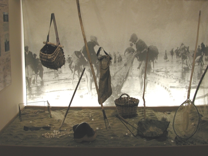 Vue générale de la collection de la Briqueterie