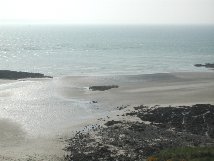 Vue générale des concessions de bouchots (Planguenoual) 