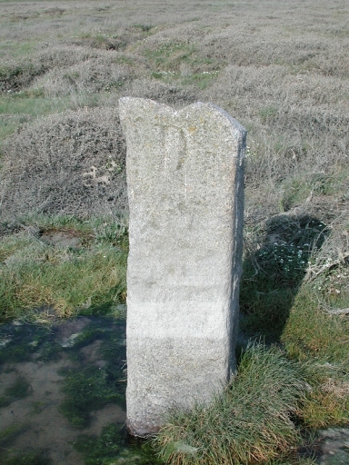 Borne D dans la grève (parcelle n°921 du cadastre de 1959)