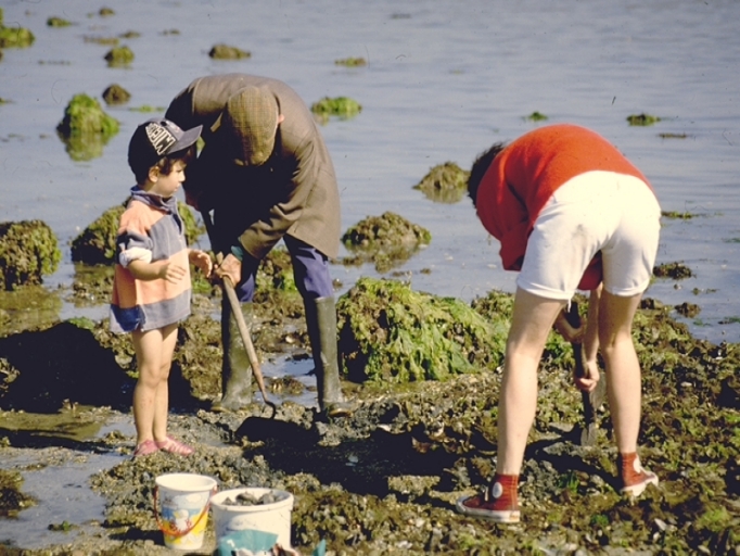 Différentes techniques et postures de pêcheurs à pied 