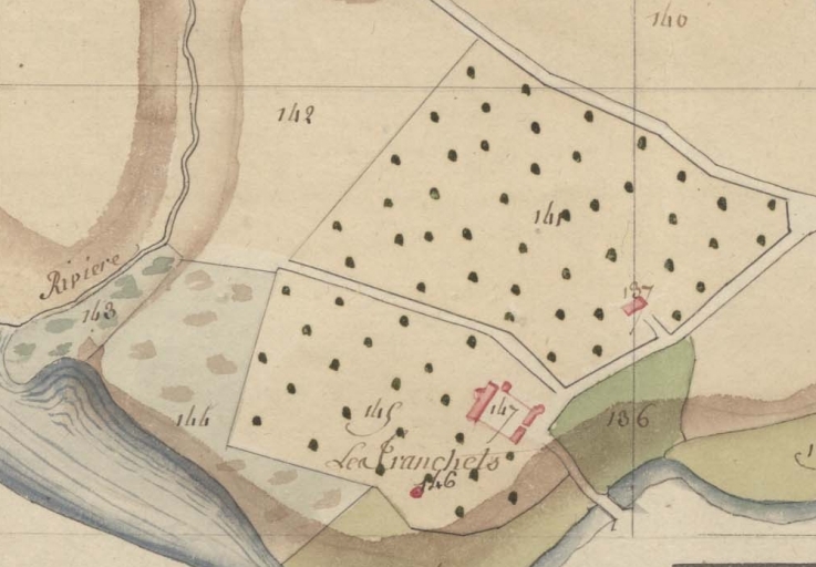 Extrait des plans par masse de culture, 1er quart 19e siècle (AD 22)