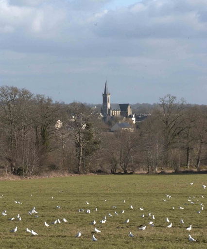 Vue de situation sud-est sur le bourg et l'église