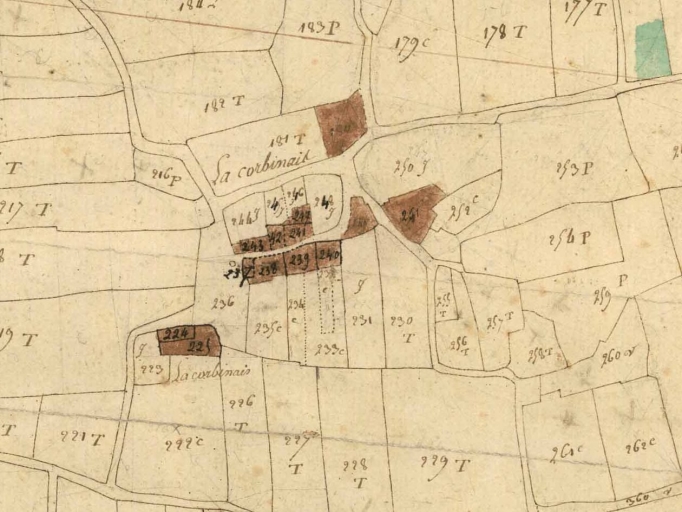 Le hameau sur le cadastre de 1810 ; Le hameau de la Corninais sur le cadastre de 1810