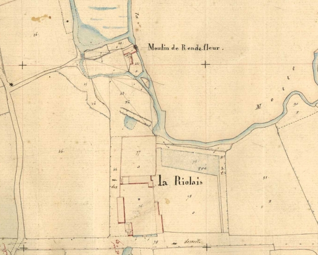 Le moulin de Rende fleur sur le cadastre de 1845