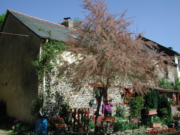 Vue générale
