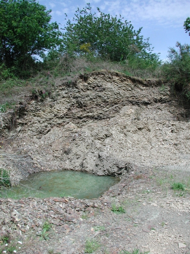 vue du tas de déchets de taille