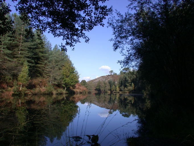 Etang la Gaule d'Iffendic au lieu-dit la Chambre au Loup 