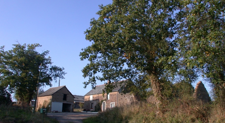 Vue générale