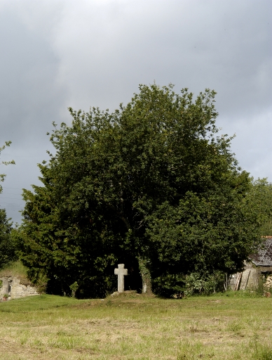 Vue générale ; Croix médiévale sélectionnée, vue générale, 1987 ZL 75 ; Le Crann, croix médiévale, vue générale