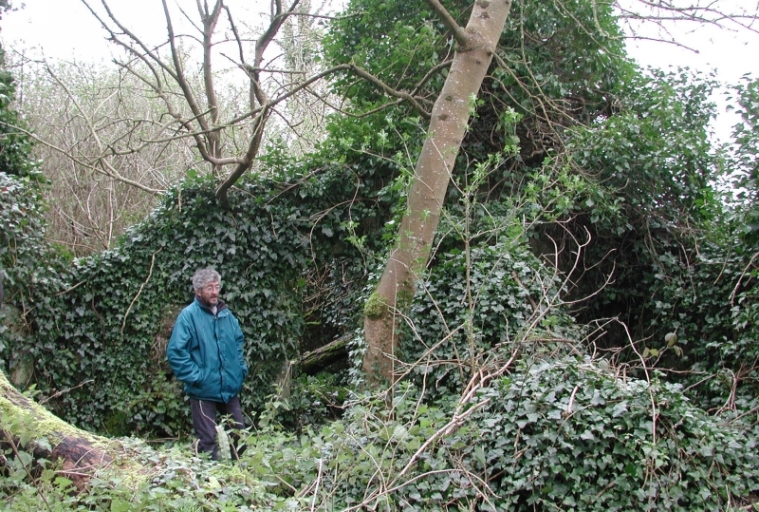 Vue générale de la maison du passeur du Yaudet (en ruine)