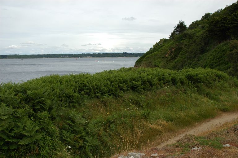 Vue générale de la batterie
