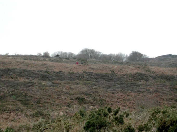 Vue générale du site des retranchements romains dans la Garenne d'Erquy 