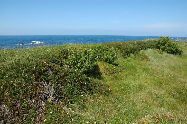 Vue générale de la partie Ouest de la batterie d'artillerie de côte (état en 2004)