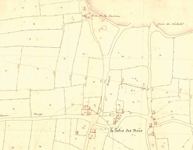 Extrait du cadastre ancien de 1849 ; Le Pâtis des Noës
