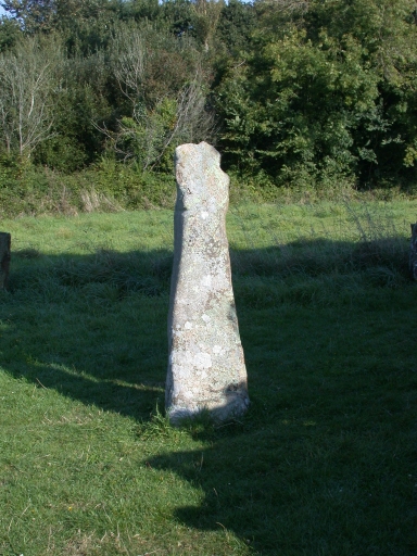 Pleumeur-Bodou, Saint-Samson. Menhir christianisé (Néolithique) [ISMH 1964] ; Vue générale ; Pleumeur-Bodou, Saint-Samson. Menhir christianisé (Néolithique)