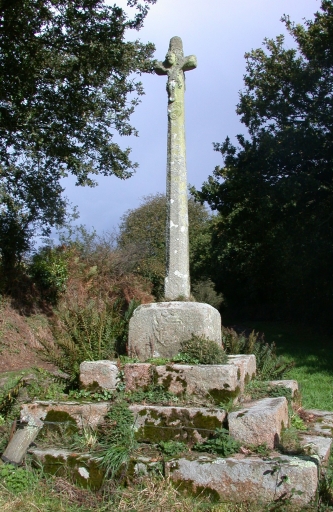 Vue générale (face) ; Pleumeur-Bodou, Ros-ar-Prat. Croix (2ème moitié du 16ème ?)