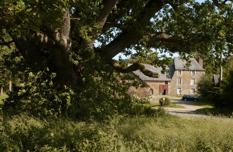 Vue générale ; Le manoir du Plessis