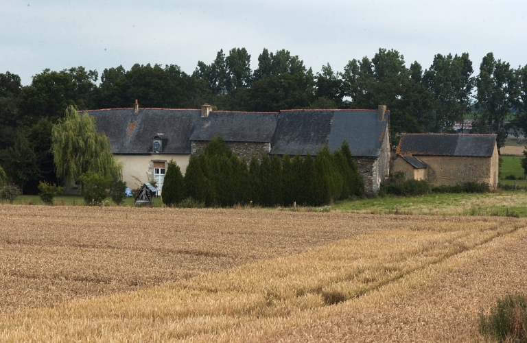 Vue sud (sur jardin?)