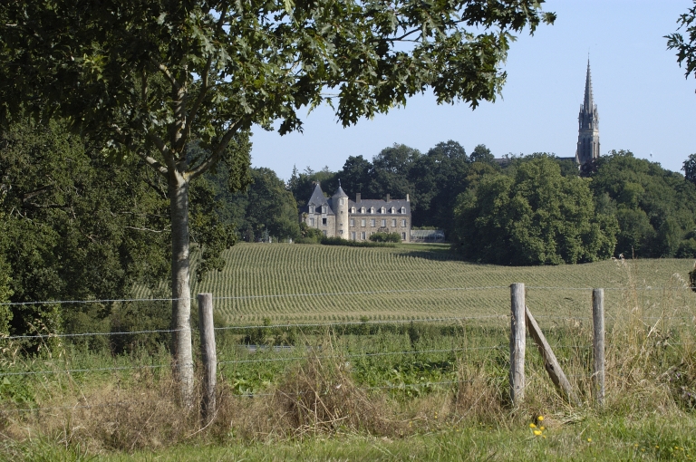 Le château de Saint-Aubin-d'Aubigné