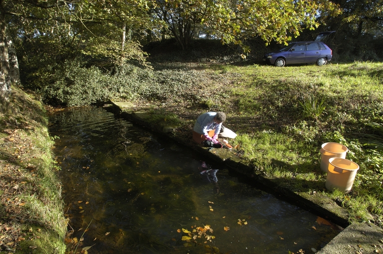 Lavoir, vue générale ; Saint-Thuriau, lavoir, vue générale