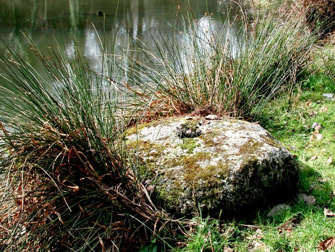 Vue générale