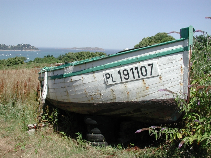 Le Petit Louis en 2006, à l'état d'épave 