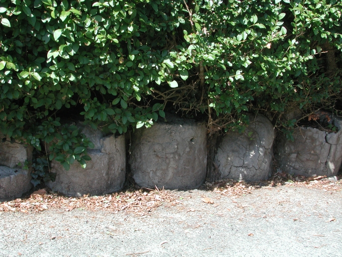 Vue générale