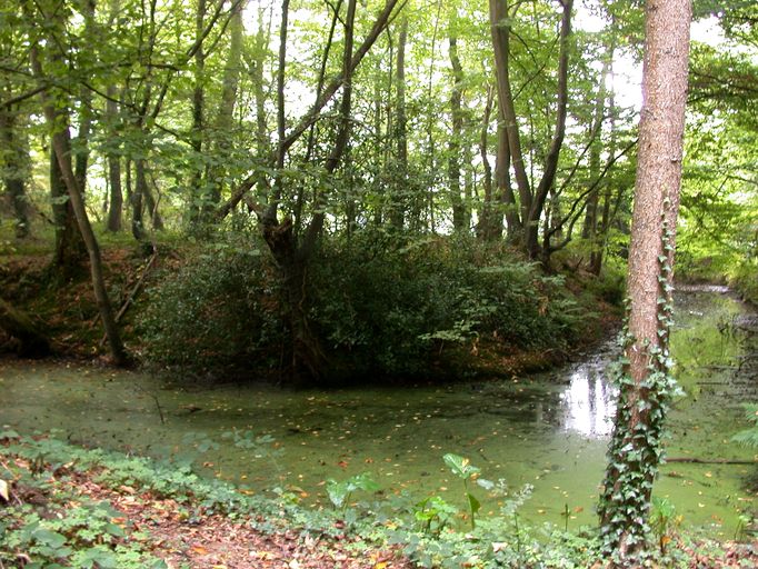 Matignon, les Guerches. Motte castrale (11ème siècle ?) ; Vue générale