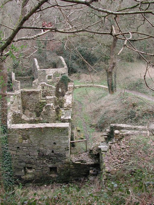 Vue générale du moulin et de son coursier au pignon ouest