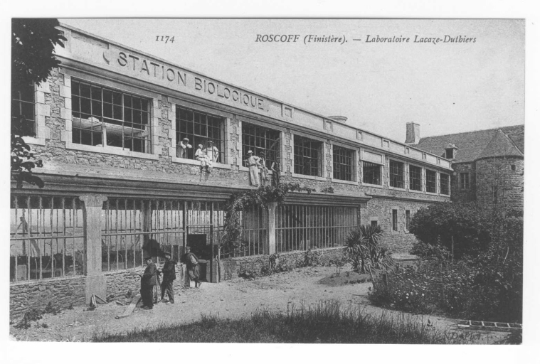 Laboratoire Lacaze-Duthiers, élévation sud, vers 1907