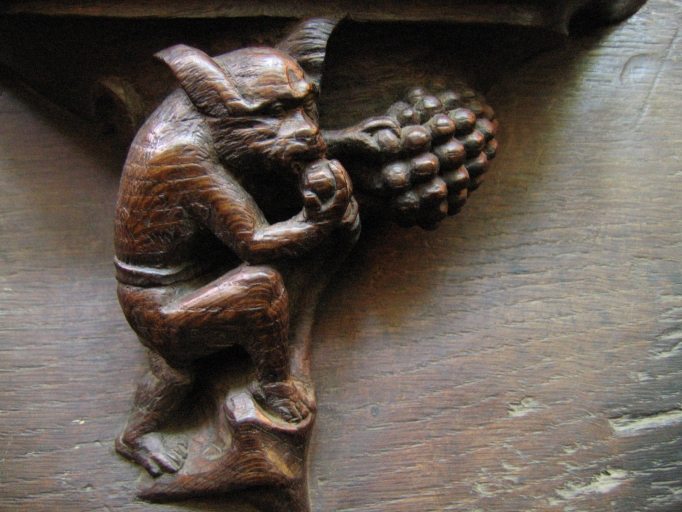 Miséricorde : animal voleur