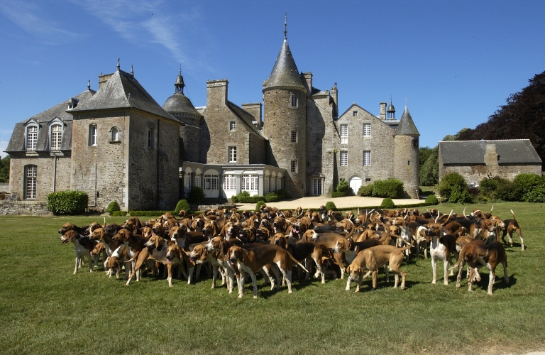 La meute face est du château