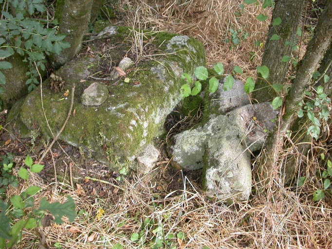 Croix sélectionnée, vue générale. YM 44 ; Vue générale ; Locqueltas, croix de chemin brisée, limite 17e siècle 18e siècle, vue générale. YM 44