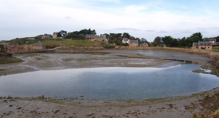 Bréhat, l'étang du Birlot ; Vue générale