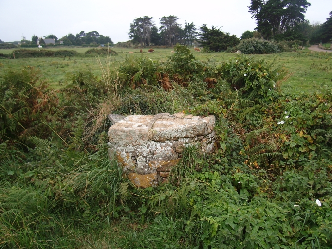 Vue générale ; Bréhat, Roc'h-Verrien. Puits