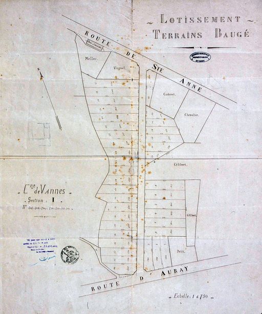 Plan du lotissement Baugé daté du 21 avril 1925. AM Vannes 1O221. ; Plan du lotissement Baugé daté du 21 avril 1925. AM Vannes 1O221. ; Plan du lotissement Baugé daté du 21 avril 1925. AM Vannes 1O221. ; Plan du lotissement Baugé daté du 21 avril 1925. AM Vannes 1O221. ; Plan du lotissement Baugé daté du 21 avril 1925. AM Vannes 1O221. ; Plan du lotissement Baugé daté du 21 avril 1925. AM Vannes 1O221. ; Plan du lotissement Baugé daté du 21 avril 1925. AM Vannes 1O221. ; Plan du lotissement Baugé daté du 21 avril 1925. AM Vannes 1O221. ; Plan du lotissement Baugé daté du 21 avril 1925. AM Vannes 1O221. ; Plan du lotissement Baugé daté du 21 avril 1925. AM Vannes 1O221. ; Plan du lotissement Baugé daté du 21 avril 1925. AM Vannes 1O221. ; Plan du lotissement Baugé daté du 21 avril 1925. AM Vannes 1O221. ; Plan du lotissement Baugé daté du 21 avril 1925. AM Vannes 1O221. ; Plan du lotissement Baugé daté du 21 avril 1925. AM Vannes 1O221. ; Plan du lotissement Baugé daté du 21 avril 1925. AM Vannes 1O221. ; Plan du lotissement Baugé daté du 21 avril 1925. AM Vannes 1O221. ; Plan du lotissement Baugé daté du 21 avril 1925. AM Vannes 1O221. ; Plan du lotissement Baugé daté du 21 avril 1925. AM Vannes 1O221. ; Plan du lotissement Baugé daté du 21 avril 1925. AM Vannes 1O221. ; Plan du lotissement Baugé daté du 21 avril 1925. AM Vannes 1O221. ; Plan du lotissement Baugé daté du 21 avril 1925. AM Vannes 1O221. ; Plan du lotissement Baugé daté du 21 avril 1925. AM Vannes 1O221. ; Plan du lotissement Baugé daté du 21 avril 1925. AM Vannes 1O221. ; Plan du lotissement Baugé daté du 21 avril 1925. AM Vannes 1O221. ; Plan du lotissement Baugé daté du 21 avril 1925. AM Vannes 1O221. ; Plan du lotissement Baugé daté du 21 avril 1925. AM Vannes 1O221. ; Plan du lotissement Baugé daté du 21 avril 1925. AM Vannes 1O221. ; Plan du lotissement Baugé daté du 21 avril 1925. AM Vannes 1O221.