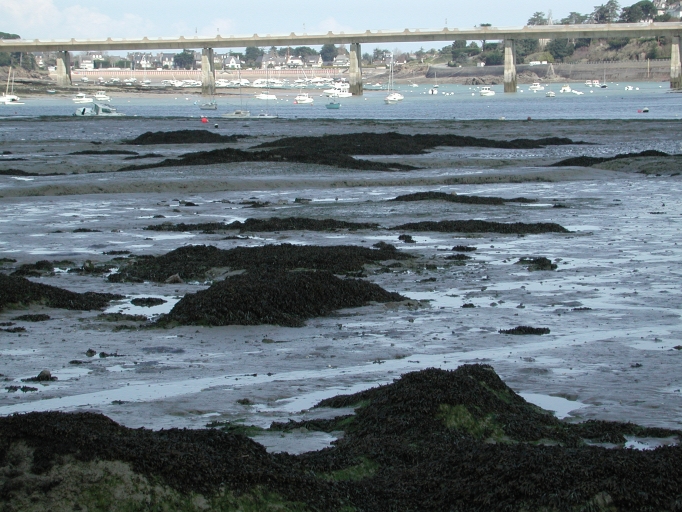 Vue générale