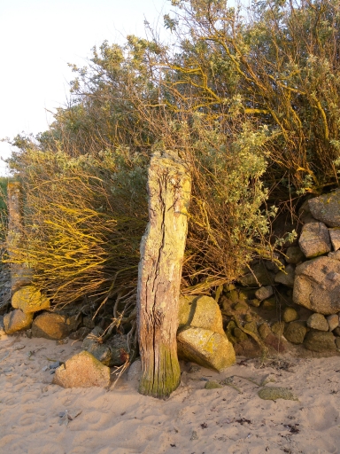 Vue générale